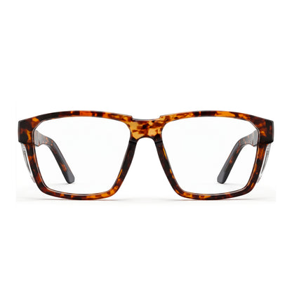 Zol Worker Z87 -2 Safety Glasses
